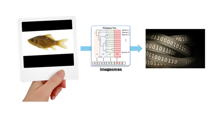 AI Meets Biology: How AI and Evolutionary Relationships in Nature Drive Biological Discovery